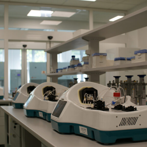 Bioreactor 3D Flow & Culture